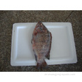 Chinese Frozen IQF Fish Tilapia für den afrikanischen Markt